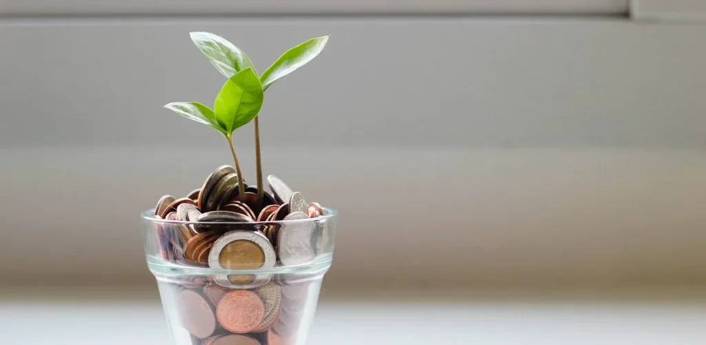 Un pot avec des pièces de monnaies et une plante. Les frais d'hypothèque