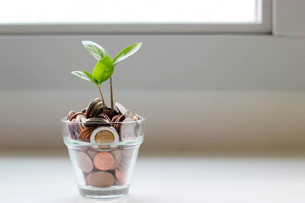 Un pot avec des pièces de monnaies et une plante. Les frais d'hypothèque