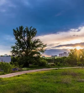 Un terrain verdoyant à coté d'un quartier