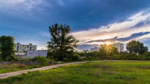 Un terrain verdoyant à coté d'un quartier