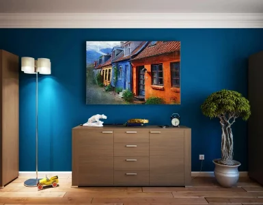 Un meuble et des bibliothèques