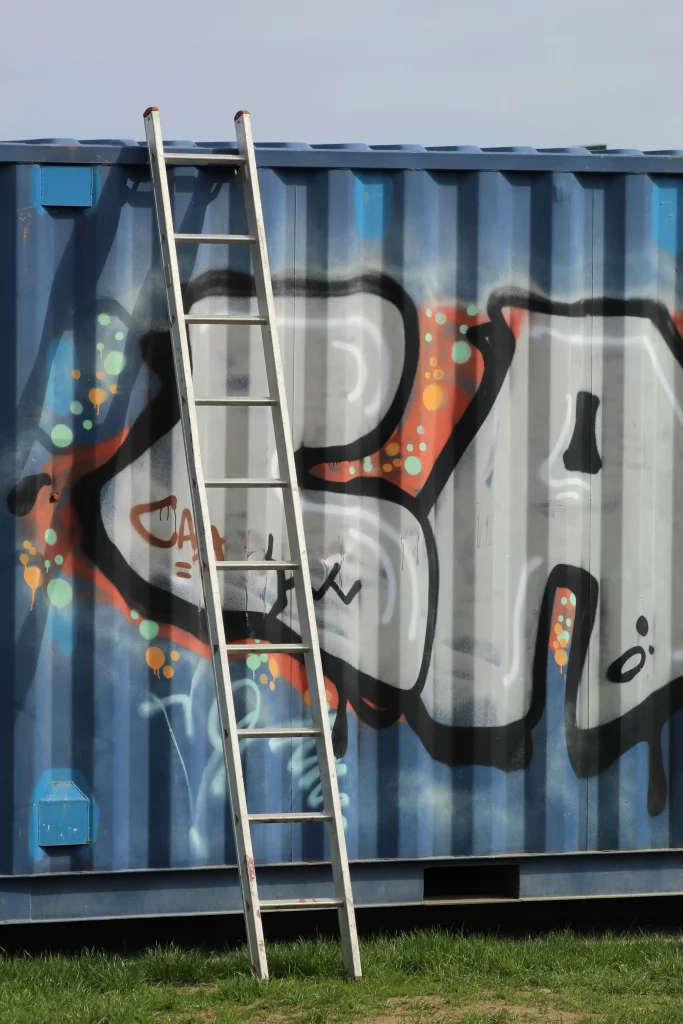 Une échelle posée sur un conteneur avec des graffiti